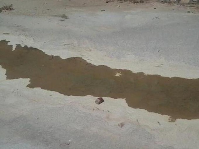 Korkunç cinayet! Kafasını taşla ezdiler 2