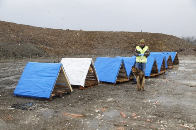Ordu’da sokak hayvanlarına kulübe 5