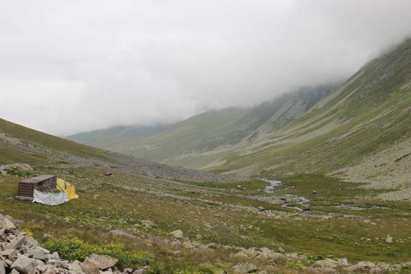 Anzer Balı sağıma hazırlanıyor 9