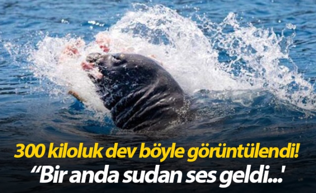 300 kiloluk dev böyle görüntülendi 1