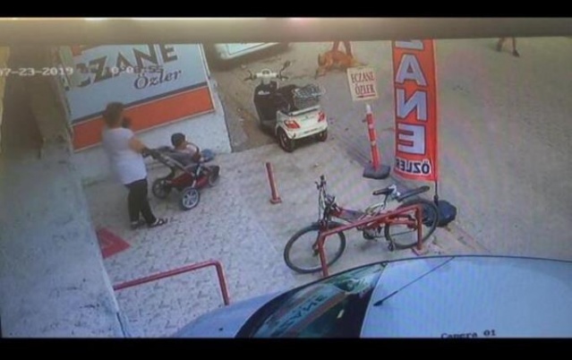 Hamile kediyi pitbulla parçalattılar! 15