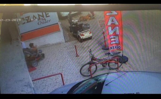 Hamile kediyi pitbulla parçalattılar! 8