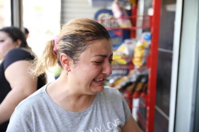 Hamile kediyi pitbulla parçalattılar! 7