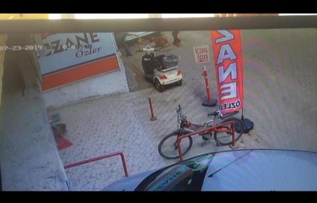 Hamile kediyi pitbulla parçalattılar! 13