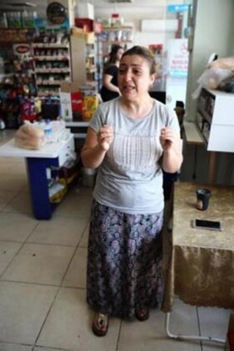 Hamile kediyi pitbulla parçalattılar! 3