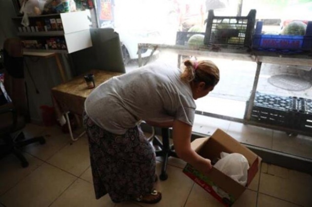 Hamile kediyi pitbulla parçalattılar! 4