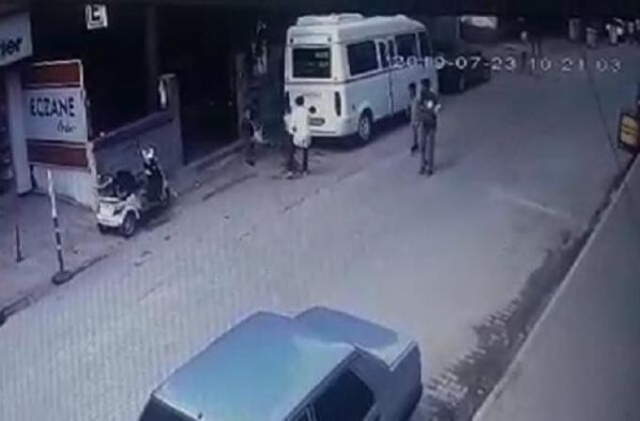 Hamile kediyi pitbulla parçalattılar! 6