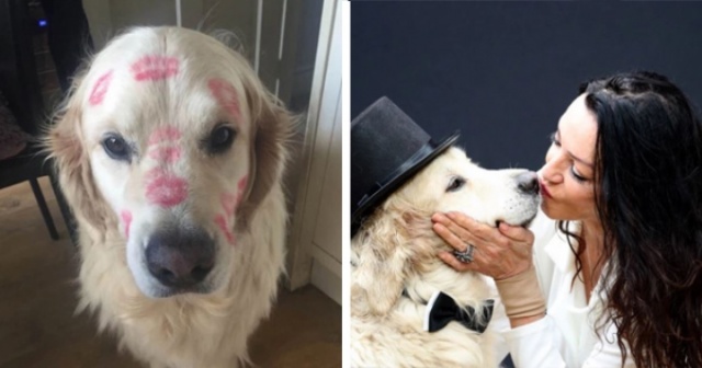 Elizabeth Hoad köpeğiyle evlenmeye karar verdi 6