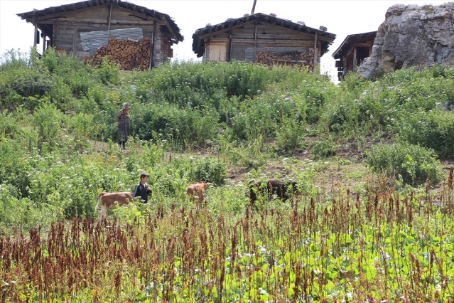 Maçahel'in yaylalarına eşsiz yolculuk 18