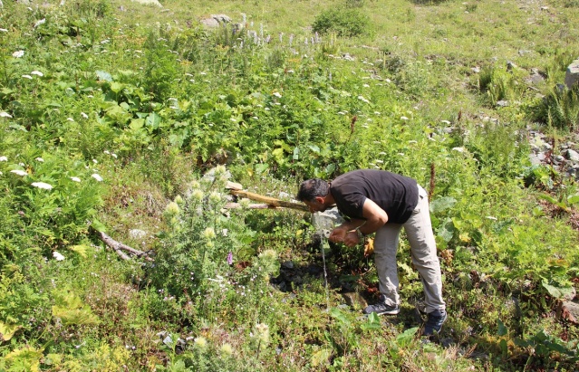 Maçahel'in yaylalarına eşsiz yolculuk 19