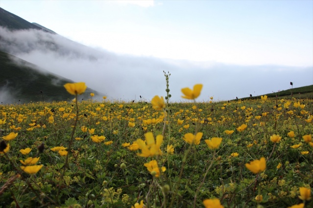 Maçahel'in yaylalarına eşsiz yolculuk 7