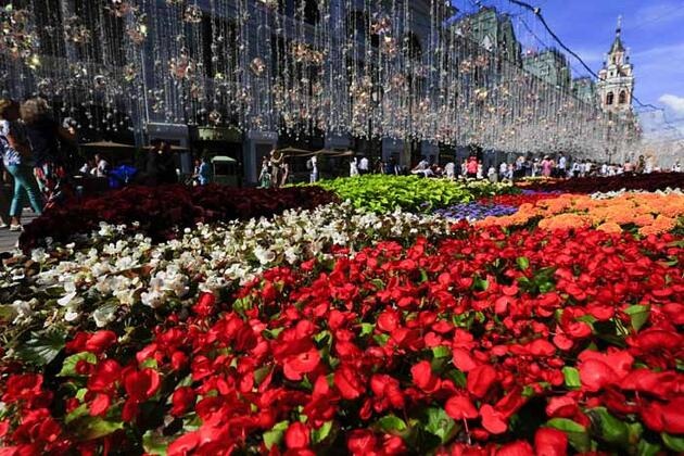 Ünlü meydan çiçek bahçesine döndü 11