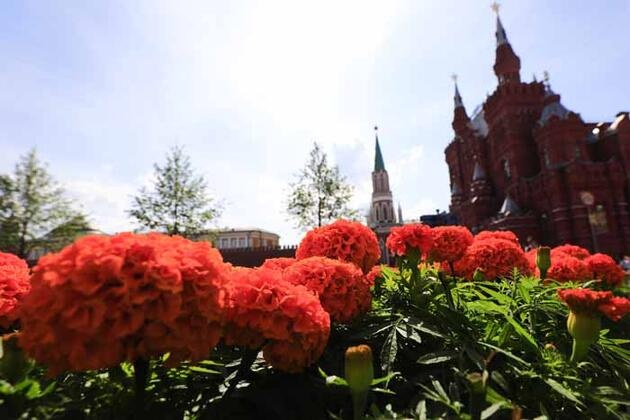 Ünlü meydan çiçek bahçesine döndü 7