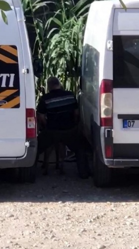 İğrenç olay! Köpeğe cinsel saldırı... 2