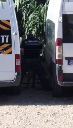 İğrenç olay! Köpeğe cinsel saldırı... 4