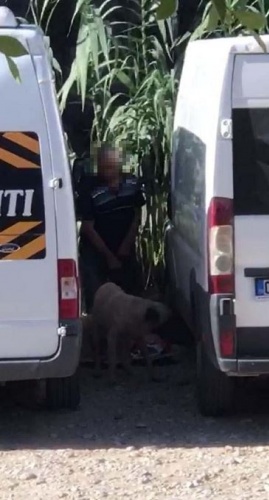 İğrenç olay! Köpeğe cinsel saldırı... 5