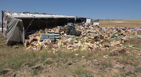 Trabzon'a gelen deterjan yüklü tır devrildi: 1 yaralı 4