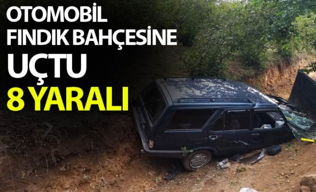 Otomobil fındık bahçesine uçtu: 8 yaralı 1
