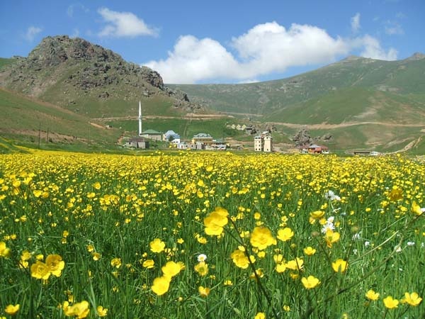Taşköprü Yaylası, hayran bırakıyor 7