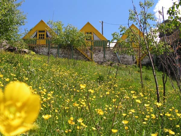 Taşköprü Yaylası, hayran bırakıyor 8