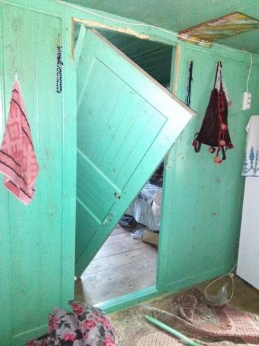 Trabzon'da korkutan ayı saldırıları 3