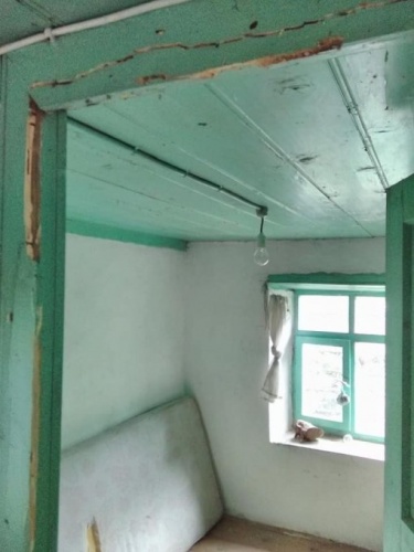 Trabzon'da korkutan ayı saldırıları 2