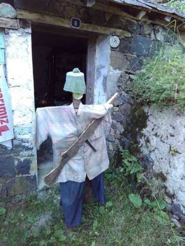 Trabzon'da korkutan ayı saldırıları 5