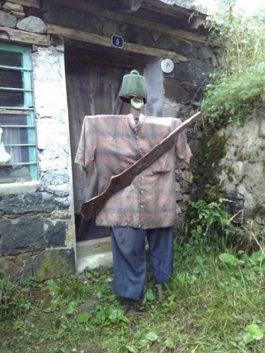 Trabzon'da korkutan ayı saldırıları 6