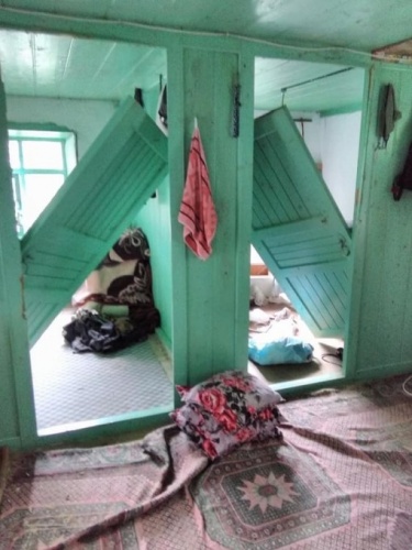 Trabzon'da korkutan ayı saldırıları 4