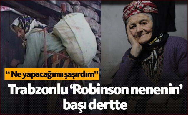 Robinson Nenenin başı dertte 1