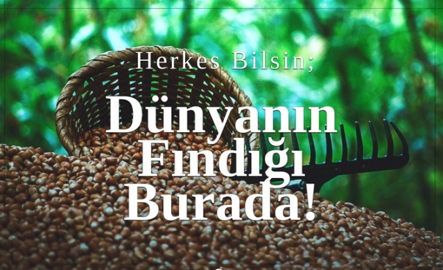 Anahtar Deliği - 06.08.2019 3