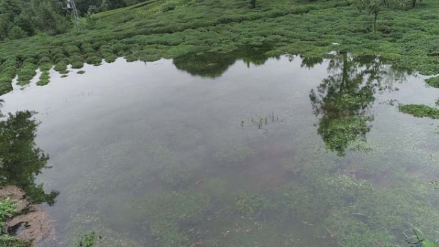 Rize'de iki kişinin inadı çay bahçesini göle döndürdü 2