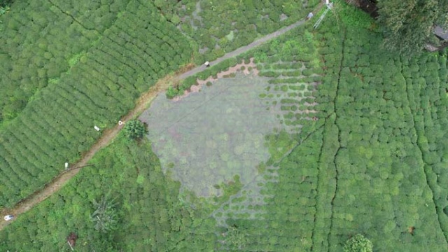 Rize'de iki kişinin inadı çay bahçesini göle döndürdü 7