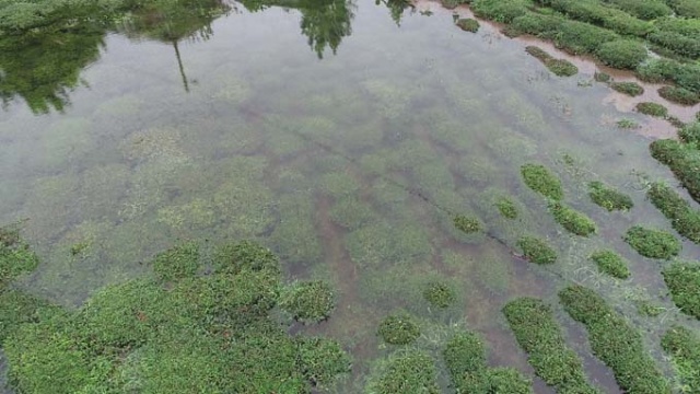 Rize'de iki kişinin inadı çay bahçesini göle döndürdü 5