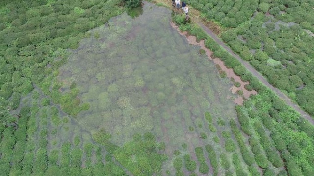 Rize'de iki kişinin inadı çay bahçesini göle döndürdü 12