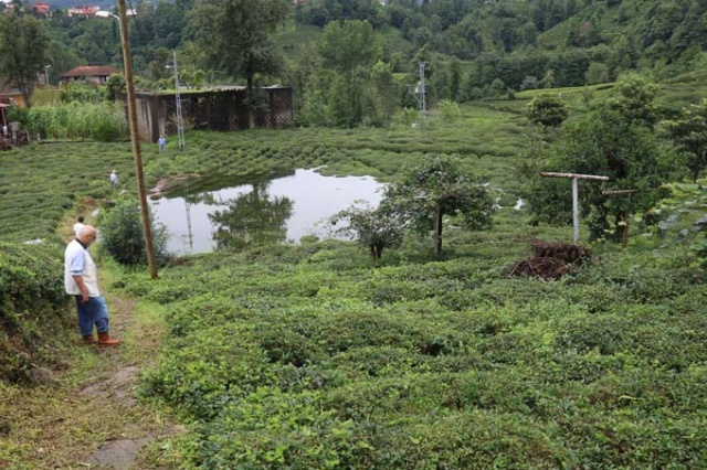 Rize'de iki kişinin inadı çay bahçesini göle döndürdü 11