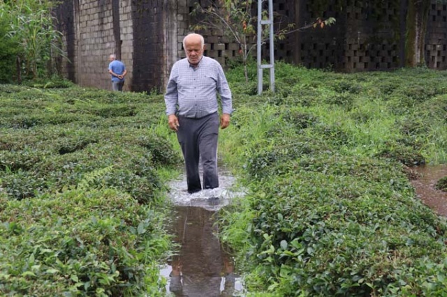 Rize'de iki kişinin inadı çay bahçesini göle döndürdü 16