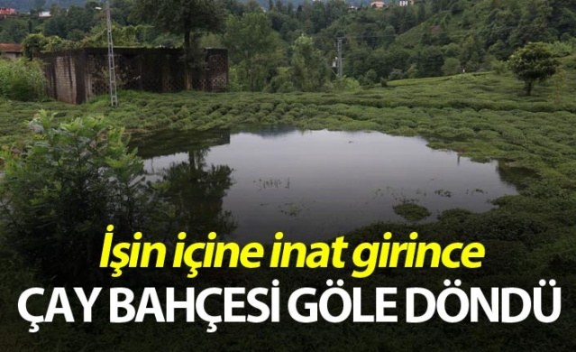 Rize'de iki kişinin inadı çay bahçesini göle döndürdü 1
