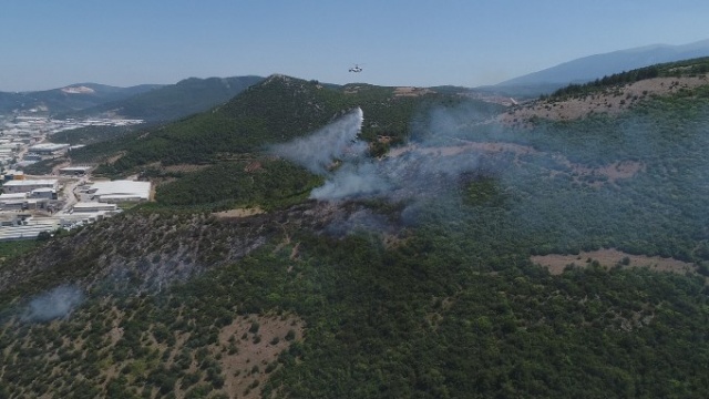 Türkiye'nin ciğerleri yanıyor 5