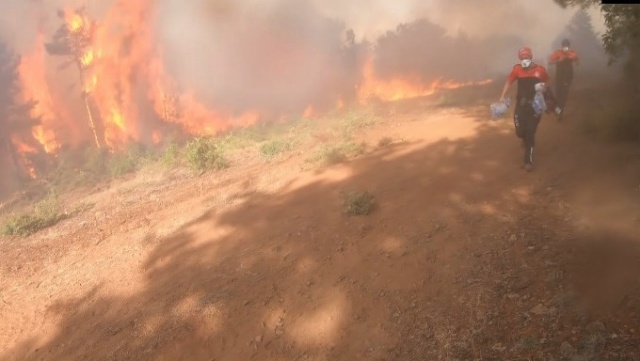 Türkiye'nin ciğerleri yanıyor 4