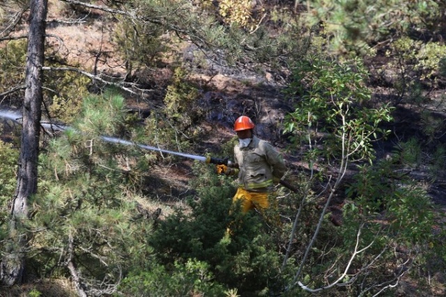 Türkiye'nin ciğerleri yanıyor 7