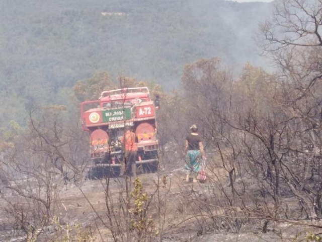 Türkiye'nin ciğerleri yanıyor 2
