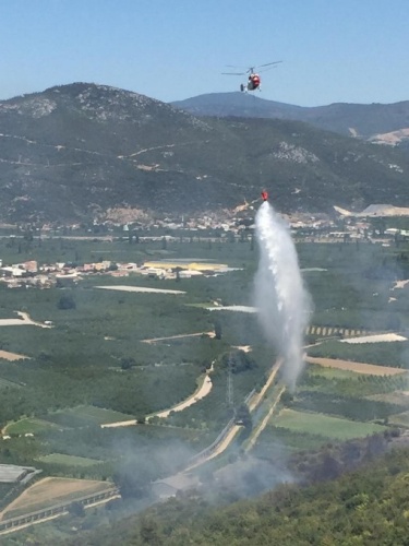 Türkiye'nin ciğerleri yanıyor 6