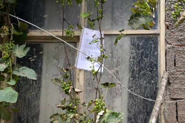 Selin vurduğu Çamlıktepe'de buruk bayram 5