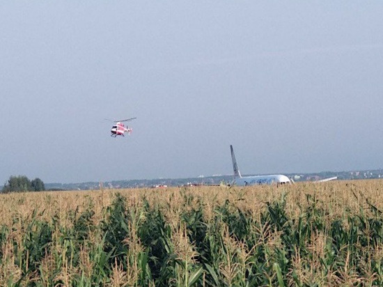 Yolcu uçağı tarlaya acil iniş yaptı 10