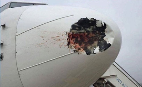 Yolcu uçağı tarlaya acil iniş yaptı 12