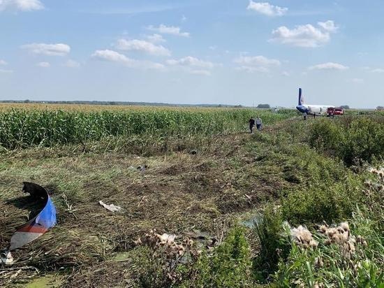 Yolcu uçağı tarlaya acil iniş yaptı 8