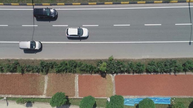 Trabzon'da ilginç fındık kurutma yöntemi 4