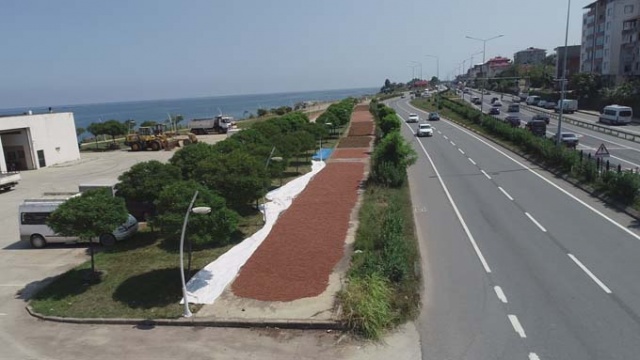 Trabzon'da ilginç fındık kurutma yöntemi 10