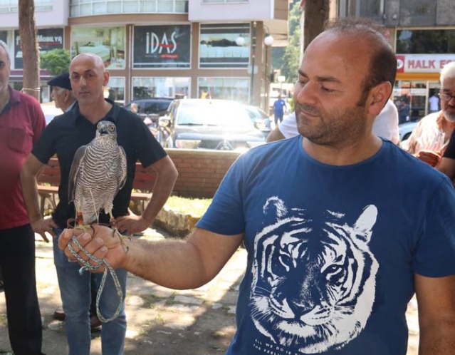 Rize'de atmacalar görücüye çıktı 9